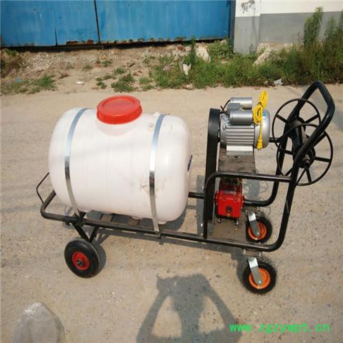 睿迪手推式中药材打药机 汽油轻便打药机 高压喷雾打药机图3