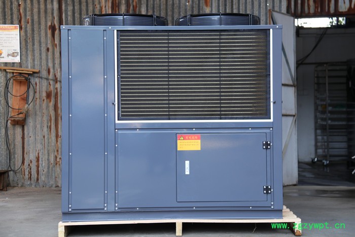 石斛烘干机 惠特高科中药材烘干机 石斛干燥设备