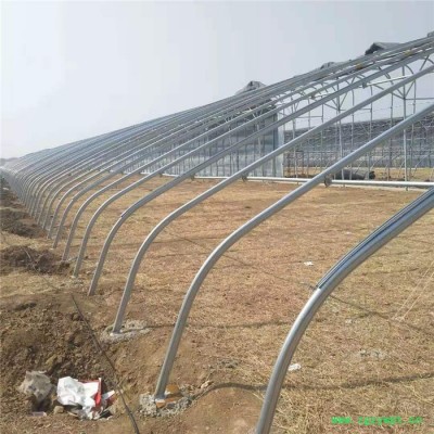 鑫宝金 日光温室 蔬菜种植 水果种植 中药材大棚 温室园区规划