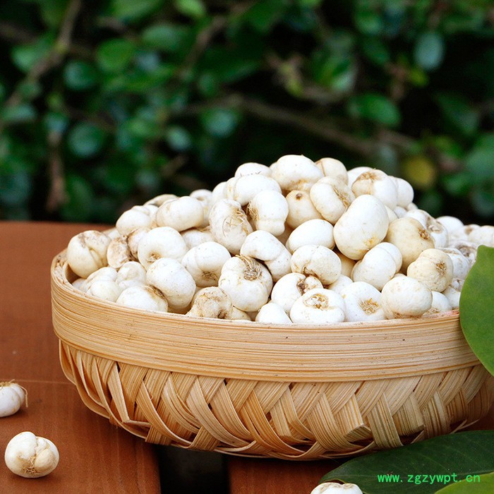 中药材平贝母批发川贝母新鲜中药材贝母图3