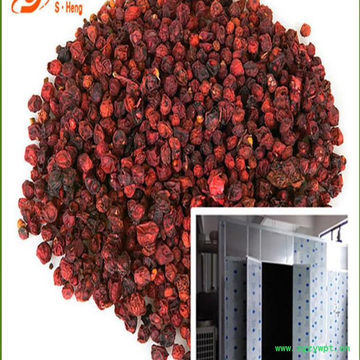 恒芝美 小型中药渣烘干机 新款畅销金银花烘干机