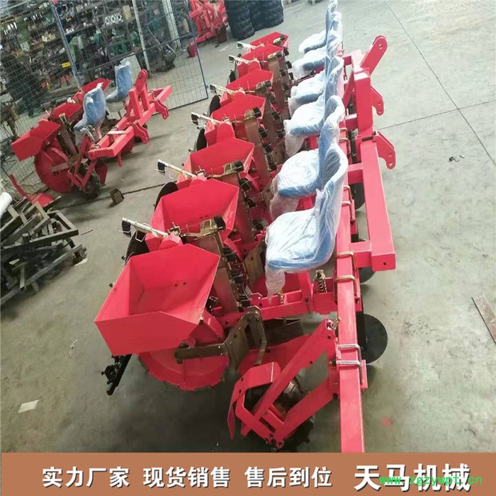 栽苗机|天马畅销款中药材移栽机| 药材种植机|可定制移栽机图3