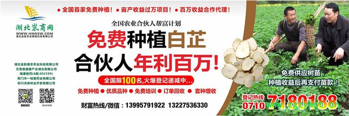 免费供应中药材种子种苗，免费种植，合伙人年利百万图2