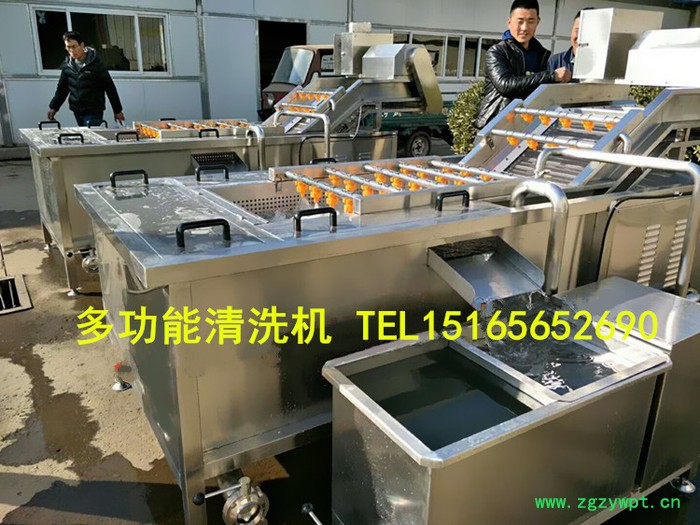 【佳品机械1516565 2690】圣女果清洗机价格 西红柿清洗机，大型中药清洗机