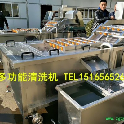 【佳品机械1516565 2690】圣女果清洗机价格 西红柿清洗机，大型中药清洗机