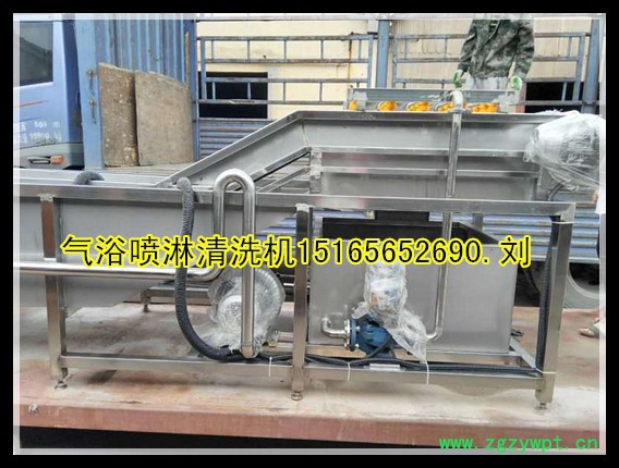 【佳品机械1516565 2690】圣女果清洗机价格 西红柿清洗机，大型中药清洗机图3