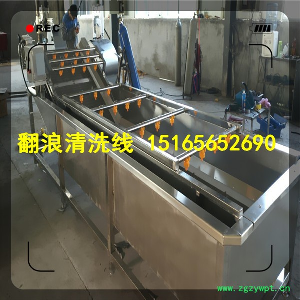 【佳品机械1516565 2690】圣女果清洗机价格 西红柿清洗机，大型中药清洗机图2