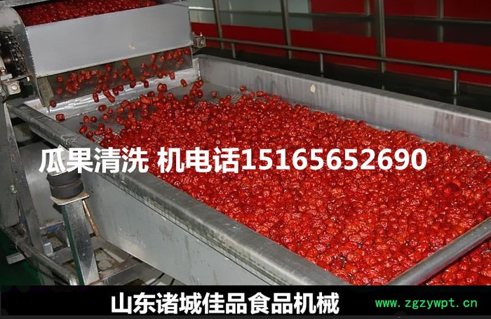 【佳品机械1516565 2690】圣女果清洗机价格 西红柿清洗机，大型中药清洗机图6