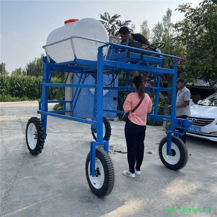 四轮座驾式打药车 柴油中药材喷药机 小麦玉米旱田地四轮打药机图6