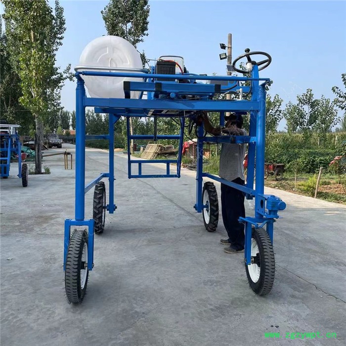 四轮座驾式打药车 柴油中药材喷药机 小麦玉米旱田地四轮打药机图5