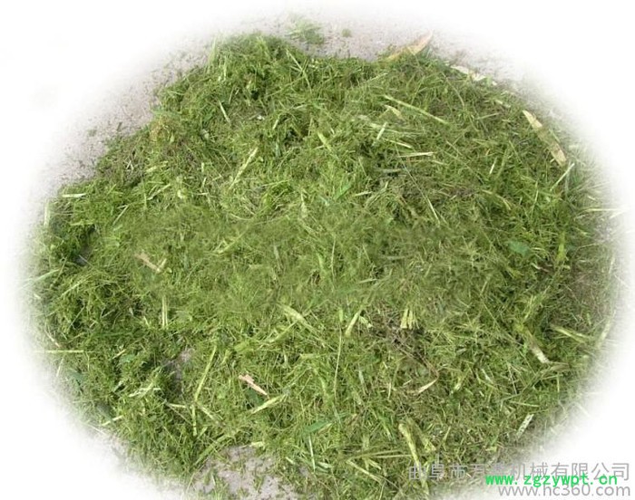 养殖饲料|磕碎机 鸽子笼养殖杂草喂食饲料粉碎机中药磕碎机图3