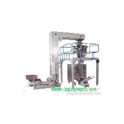 全自动中药煎药包装机（新型伺服）