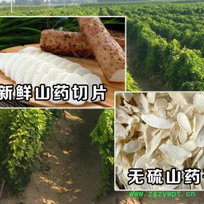 南洋 山药烘干机 网带烘干机 山药烘干设备 山药烘干机厂家  食品烘干机 中药材烘干机 怀山药烘干机 山药干燥机