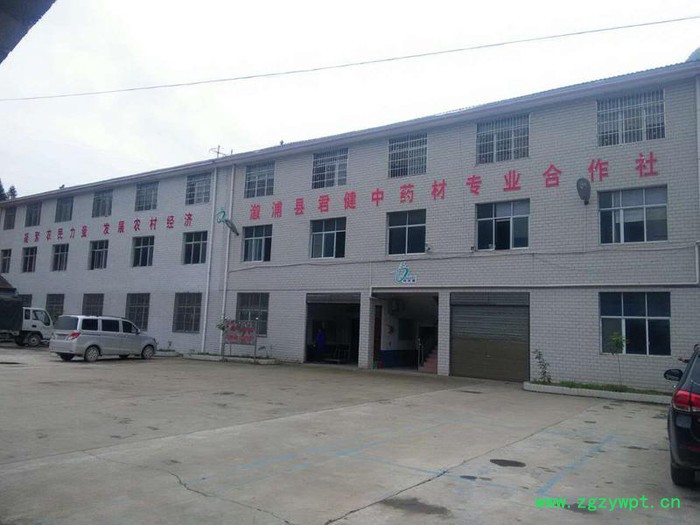 去皮黄柏  质量保证**， 产地厂家供应，价格合适，黄伯皮含量高 去皮黄柏皮 ， 刮皮黄柏皮 价格低 中药材