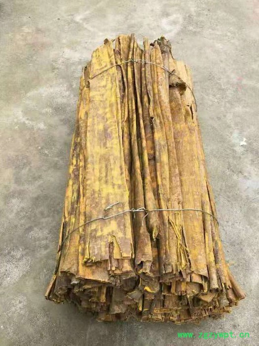 去皮黄柏  质量保证**， 产地厂家供应，价格合适，黄伯皮含量高 去皮黄柏皮 ， 刮皮黄柏皮 价格低 中药材图2