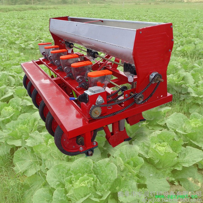柴胡中药材精播机中药材播种机 免耕出苗规律图6