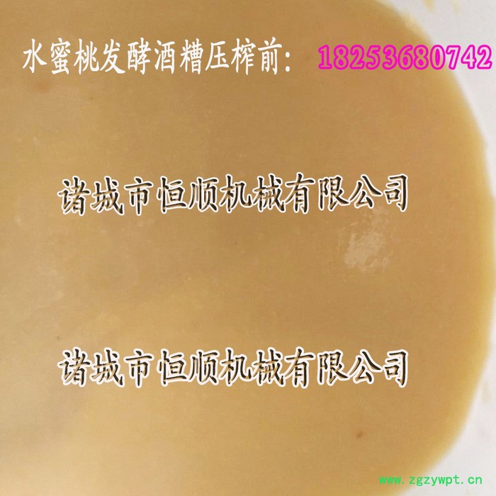 云南中药药泥、黄芪中药药浆过滤压榨机 精滤压榨机 凉草茶渣压榨机图2