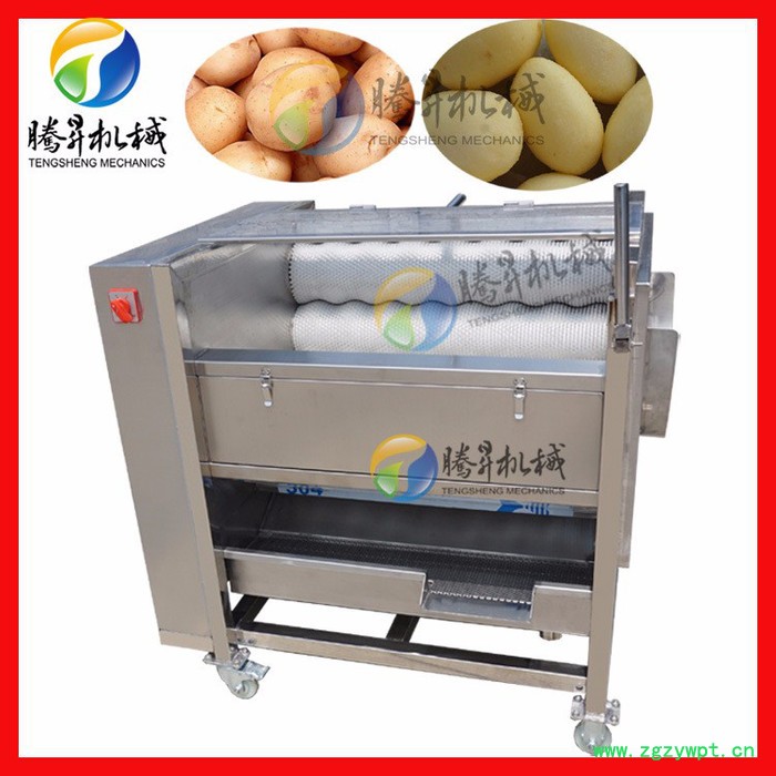 腾昇厂家多型号瓜果毛刷清洗机 牛蒡清洗脱皮机 中药清洗去沙机 操作简单质保一年