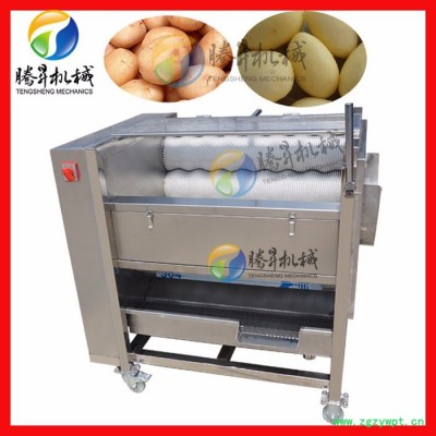 腾昇厂家多型号瓜果毛刷清洗机 牛蒡清洗脱皮机 中药清洗去沙机 操作简单质保一年