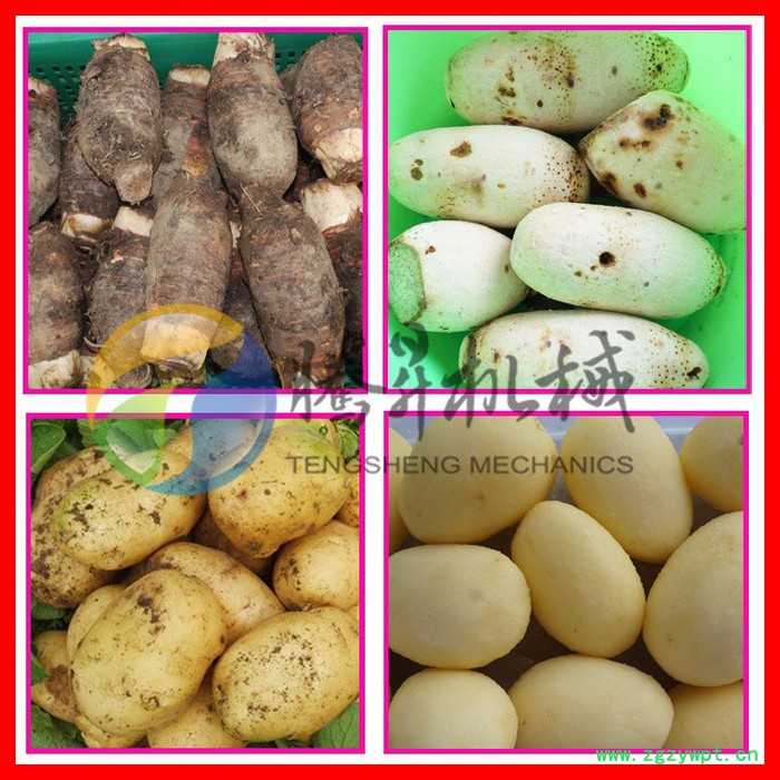 腾昇厂家多型号瓜果毛刷清洗机 牛蒡清洗脱皮机 中药清洗去沙机 操作简单质保一年图4