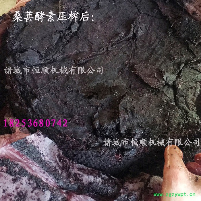 牛蒡无水发酵原浆高清过滤压榨机 银杏叶、中药草、香椿液压机 牛蒡酵素压榨机图3