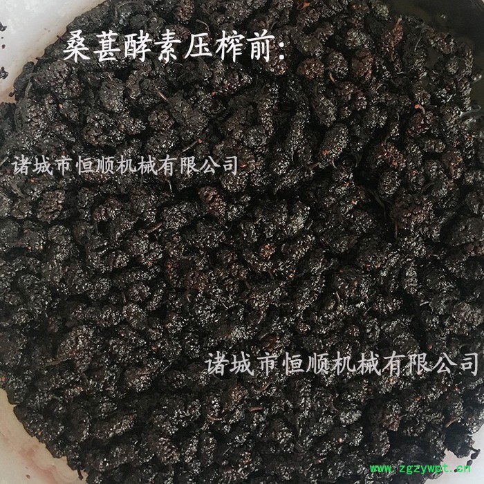 牛蒡无水发酵原浆高清过滤压榨机 银杏叶、中药草、香椿液压机 牛蒡酵素压榨机图2