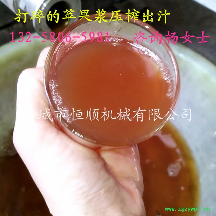 中药植物中药材药渣固液分离收汁提取压榨机  食品级不锈钢果酒压滤机图6
