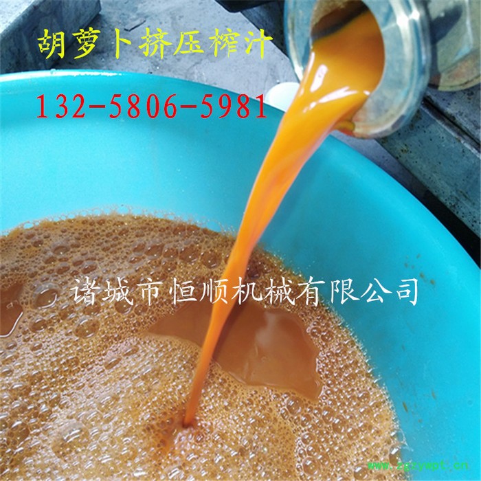 中药植物中药材药渣固液分离收汁提取压榨机  食品级不锈钢果酒压滤机图7