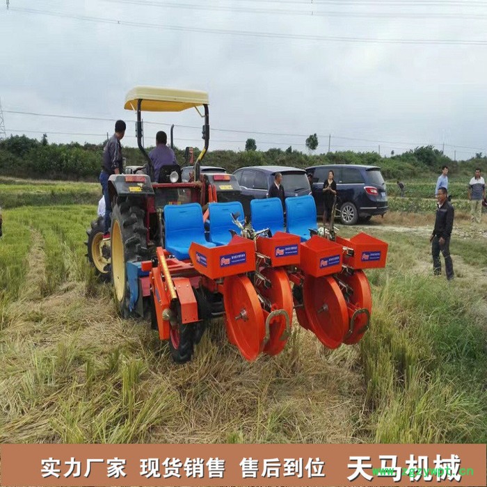 天马促销款丹参移栽机 |中药材移栽机| 链夹式丹参栽苗机图3