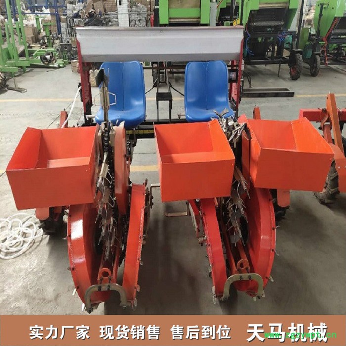 天马促销款丹参移栽机 |中药材移栽机| 链夹式丹参栽苗机图6