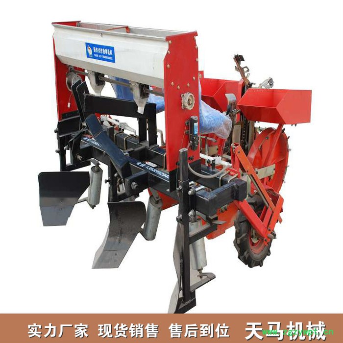 天马促销款丹参移栽机 |中药材移栽机| 链夹式丹参栽苗机图7