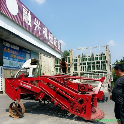 防风收获机 平筛式半夏药材收获机价格 小型药材挖掘机 中药材收获机厂家