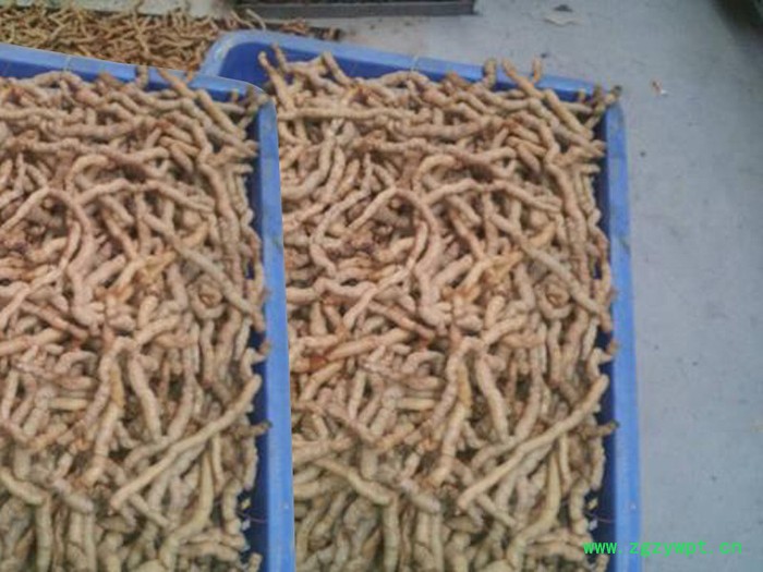 易立诺YK-145RD巴戟热泵烘干机 中药材烘干机/三七烘干机图4