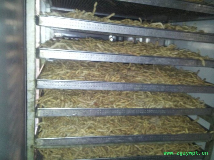 易立诺YK-145RD巴戟热泵烘干机 中药材烘干机/三七烘干机图2