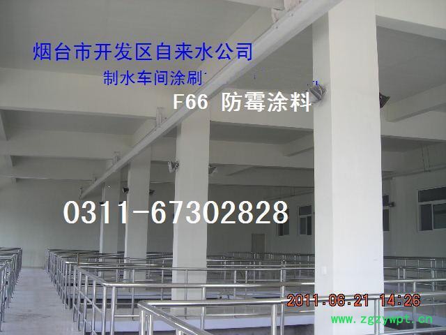 潍坊f66 9512 耐酸碱防水防潮防霉涂料_食品厂防霉漆_药厂防霉涂料 豆制品车间 中药厂车间图3
