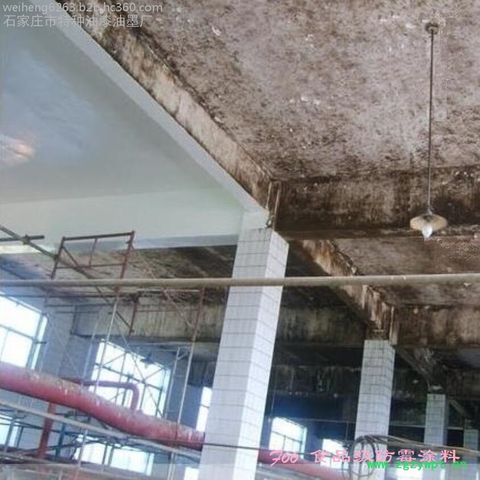 潍坊f66 9512 耐酸碱防水防潮防霉涂料_食品厂防霉漆_药厂防霉涂料 豆制品车间 中药厂车间图5