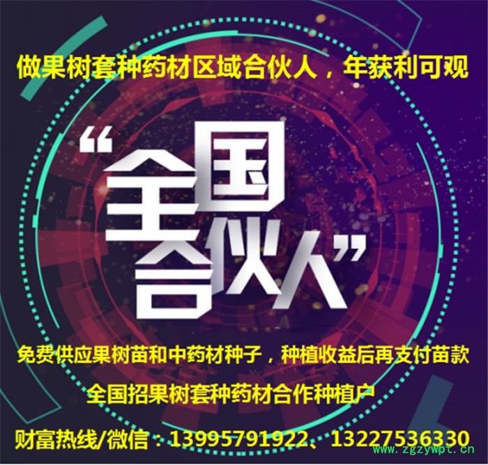 招果树、名贵中药材种植合伙人图3