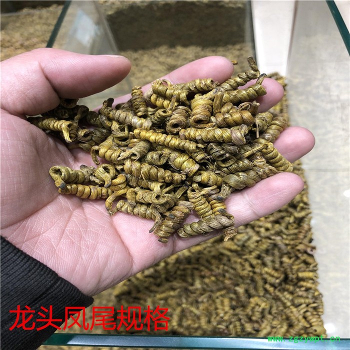 铁皮传统滋补品石斛枫斗中药材安徽铁皮石中药材石斛现货图3