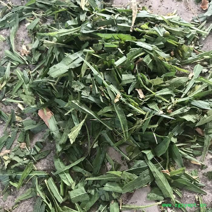 中药材棉花装袋压块机 江苏立式液压打包机 秸秆稻草 枯叶压块机图4