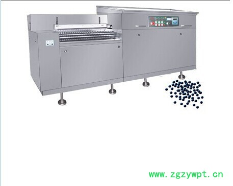 供应ZMW2000A(B)型中药制丸机图2