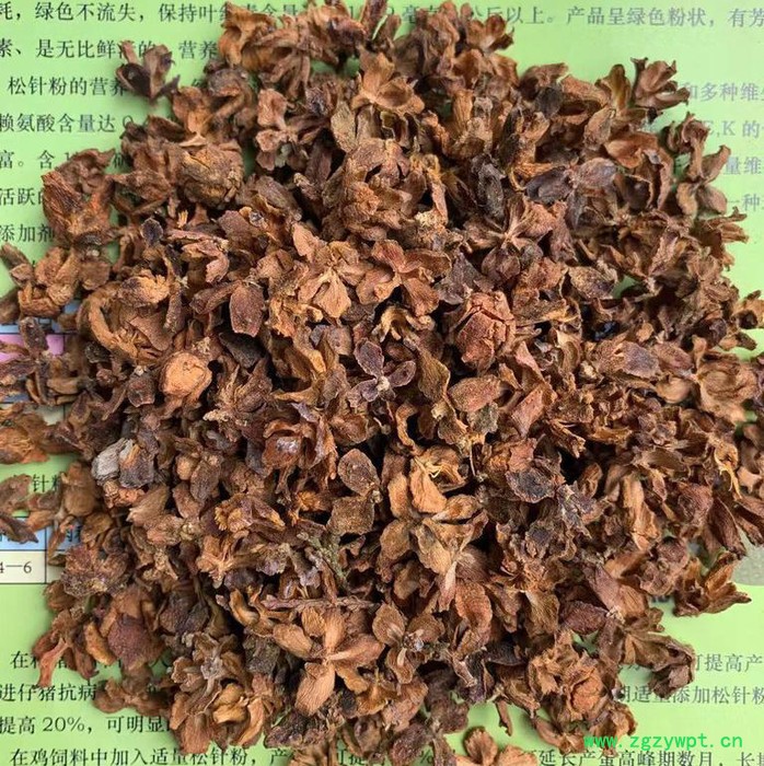 饲料原材料 中药材 柏子仁壳 柏仁 枕头 柏子壳茶 柏实 批发 500g 促销图6