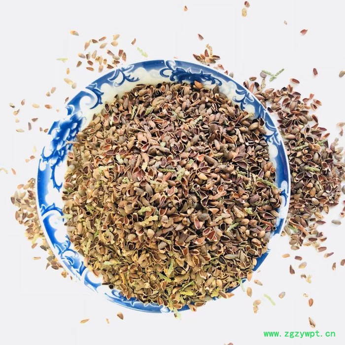 饲料原材料 中药材 柏子仁壳 柏仁 枕头 柏子壳茶 柏实 批发 500g 促销图8