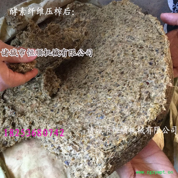 医院用小型中药发酵中药渣固液挤压分离设备 不锈钢中草药压榨机图4