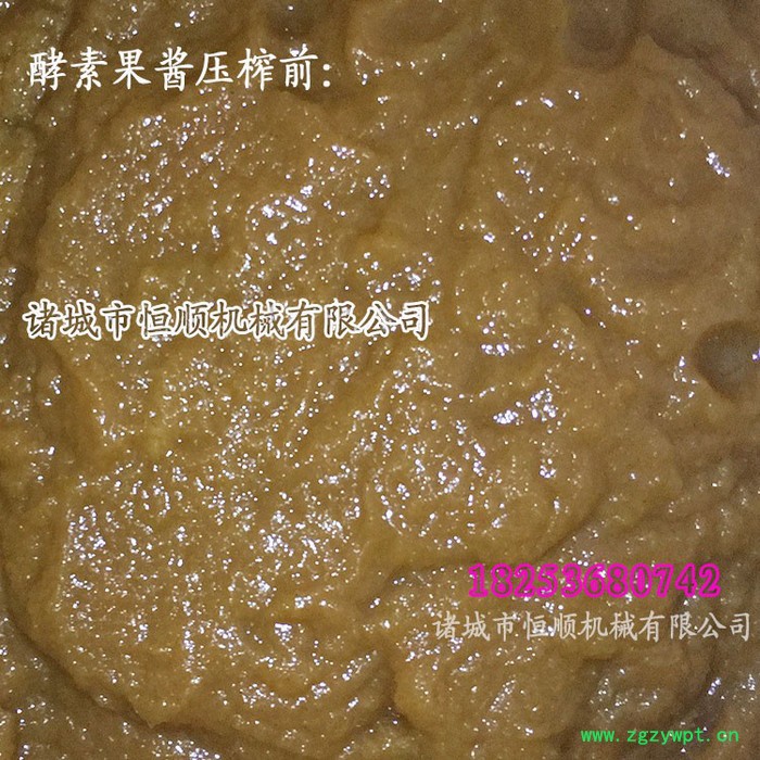 医院用小型中药发酵中药渣固液挤压分离设备 不锈钢中草药压榨机图2