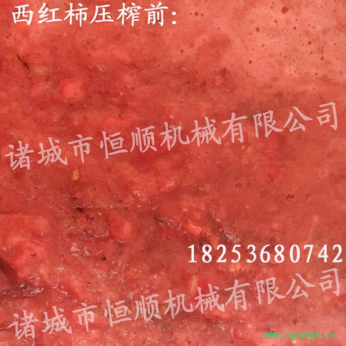 医院用小型中药发酵中药渣固液挤压分离设备 不锈钢中草药压榨机图3