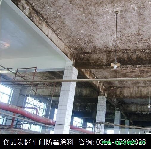 F66防霉涂料水漆 食品车间内墙涂料 中药厂防霉防水涂料图3