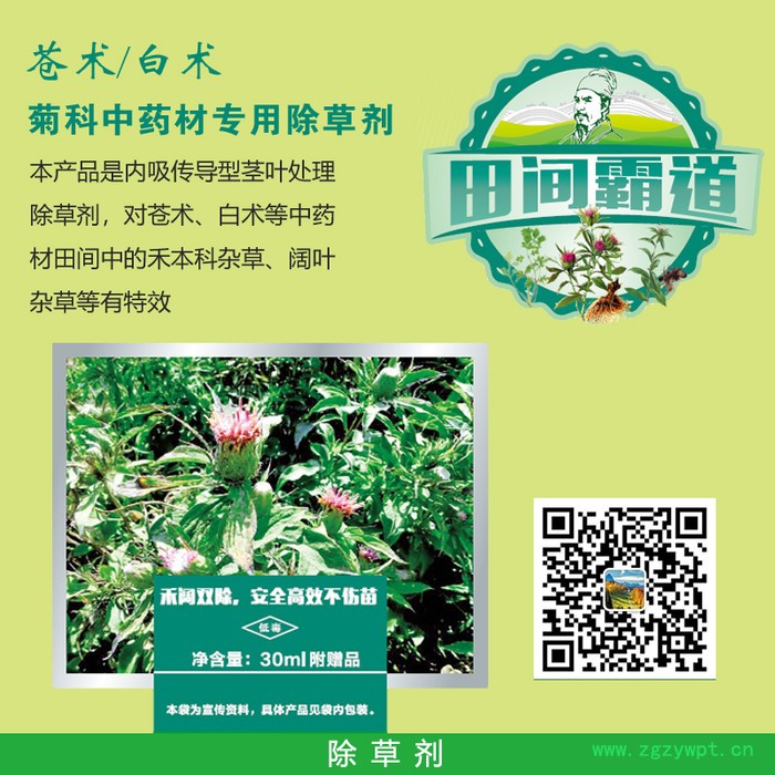 苍术除草剂   菊科中药材除草剂 田间霸道 **图2