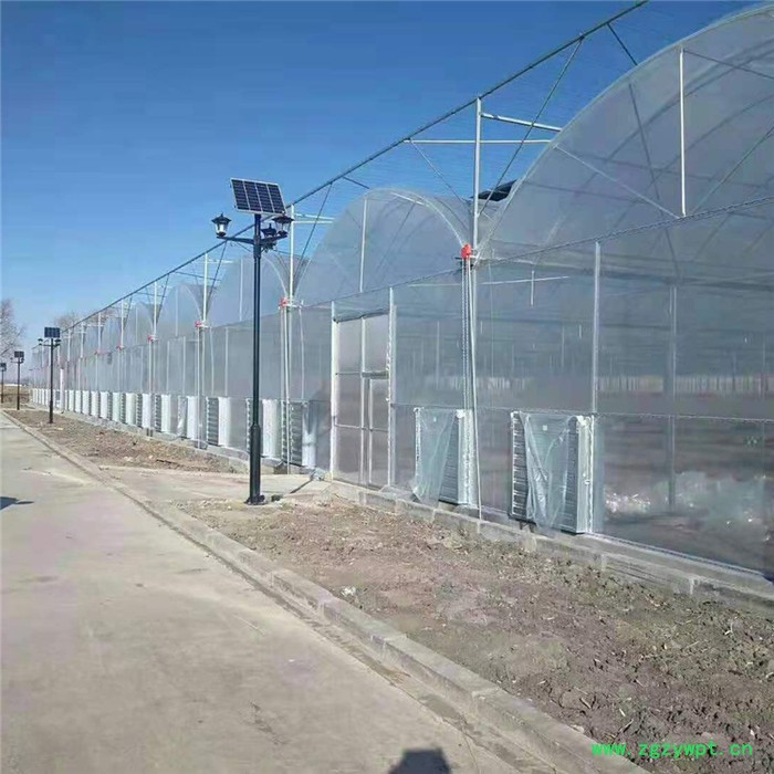 鑫宝金1 中药材种植 黑木耳大棚 连栋温室 温室大棚建造温室厂家 温室大棚公司图3