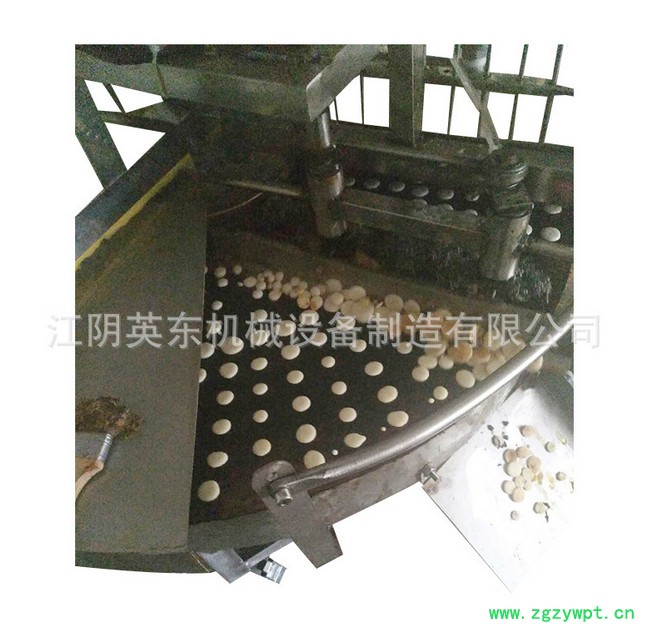 【宏林】  豆饼机  液体灌装机  素肠机  粉皮机图2