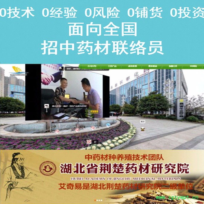 湖北金航 0经验0技术**招全国各乡镇中药材联络员种植养殖加盟商图2